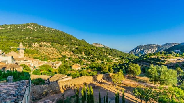 Full-day tour of Mallorca