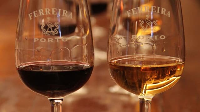 The douro museum and olive oil and wine tasting in a quinta.