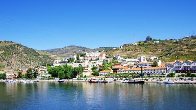 Port Wine Route and Pinh&#227;o