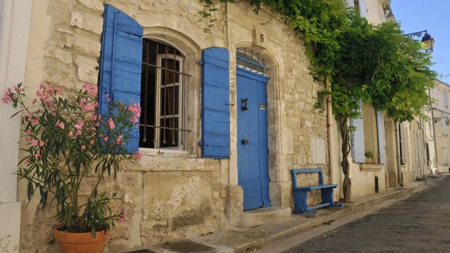 Guided tour of Arles and visit of an olive oil production site
