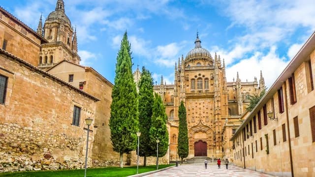 Guided tour of Salamanca (lunch included)