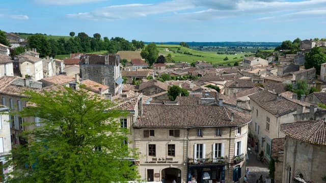 Guided tour of Saint Emilion and wine tasting