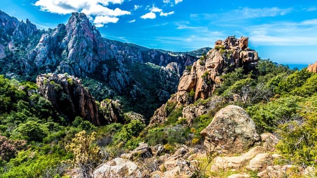 Day trip to the Calanques de Piana and Porto