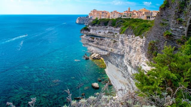 Guided Tour of Bonifacio and Tasting of Craft Liquors