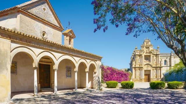Guided tour of Jerez and equestrian show