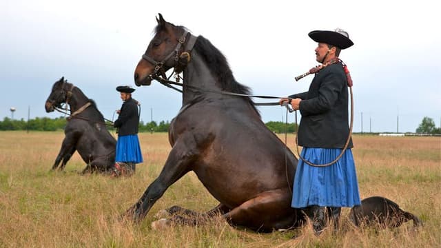 Excursion to Hortobagy Park