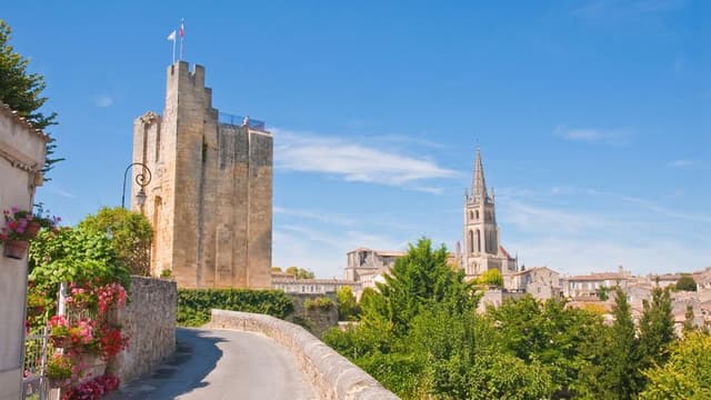 Guided tour of St Emilion and wine tasting