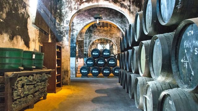 El Puerto de Santa Maria - Tasting at the Osborne Bodega