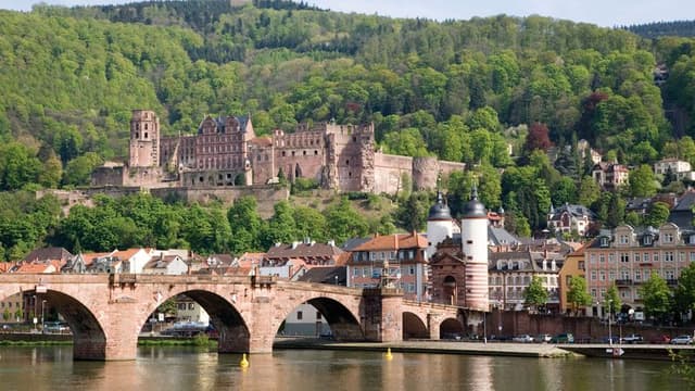 Guided tour of Heidelberg and its castle (outdoor)