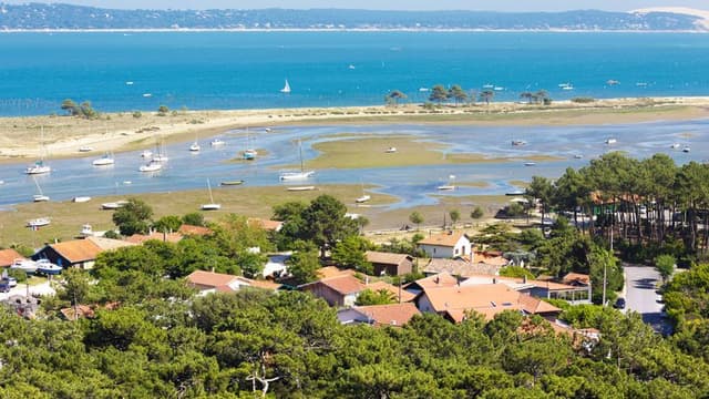 Day trip in the Arcachon Bay (lunch included)
