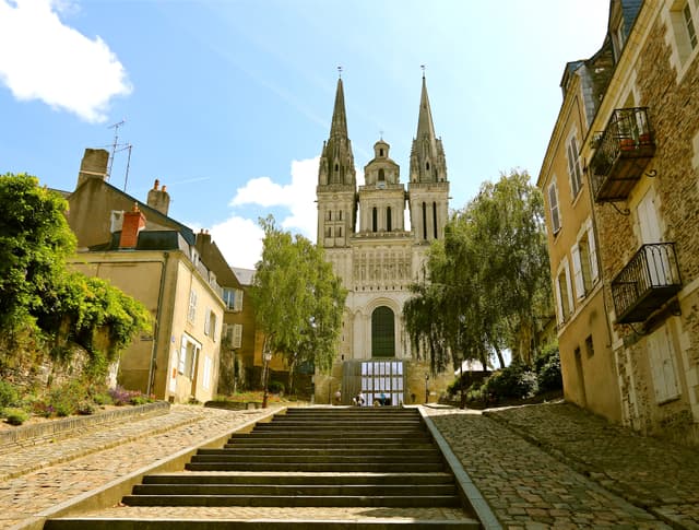 Guided tour of Angers