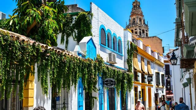Full-day trip to C&oacute;rdoba (lunch included)