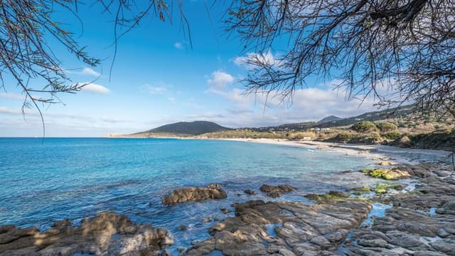 Beach time - Calvi