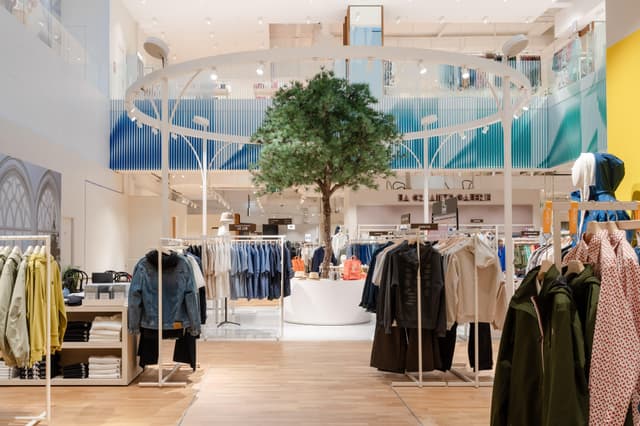 French Chic - Elegance and Culinary Delight