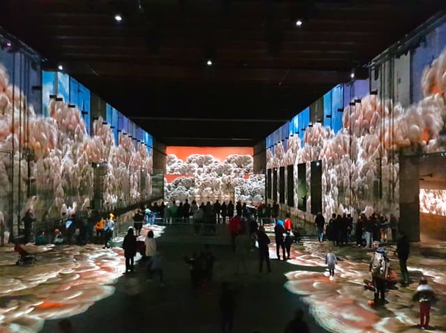 The Bassins des Lumi&#232;res