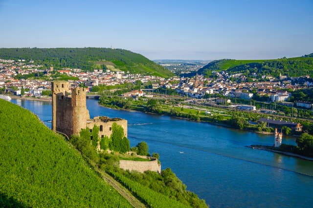 R&uuml;desheim : wine tasting* and visit of the Museum of Mechanical Musical Instruments
