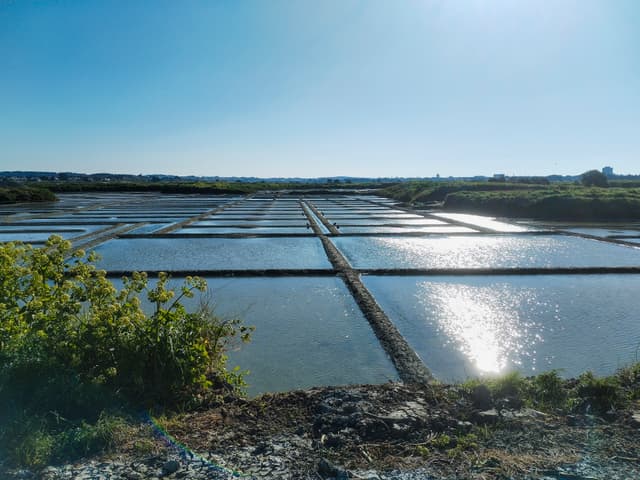 Guided tour of the House of the Salt Workers of Guérande