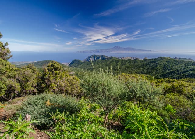 La Gomera Island Tour