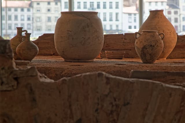 The Gallo-Roman Museum