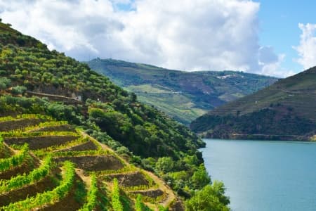 The Douro River, the spirit of Portugal (port-to-port cruise)