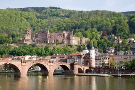 5 Different Rivers: The Rhine, Neckar, Main, Moselle, and Saar