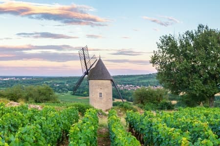 Get away from it all on an Emotional Journey from Saône-et-Loire to the Côte d'Or (port-to-port cruise)