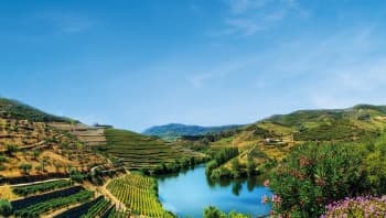 Family Club - From Portugal to Spain: Porto, the Douro Valley (Portugal) and Salamanca (Spain) (port-to-port cruise)