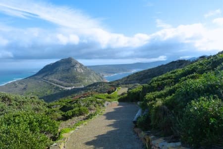 Southern Africa aboard the Zimbabwean Dream: travel to the ends of the earth with extended stay at the Cape Peninsula (port-to-port cruise)