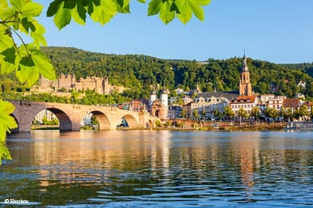 New Year on the Rhine: The romantic Rhine and its castles (port-to-port cruise)