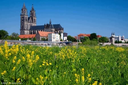 From Berlin to Prague: Cruise on the Elbe and Vltava Rivers (port-to-port cruise)